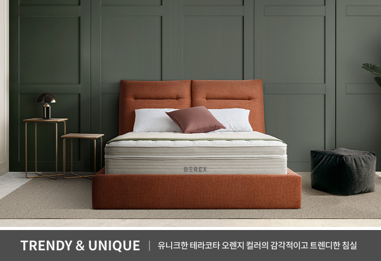 코웨이 CFQ-CB01 BEREX 컴포트 프레임 상세이미지 31